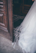 Load image into Gallery viewer, Silver Glitter Star Veil