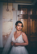 Load image into Gallery viewer, Silver Glitter Star Veil