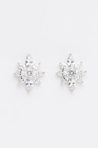 Silver Star Sparkle Earring - E61