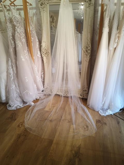 Scatter Pearl Cathedral Length Veil