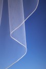 Classic cord edge veil