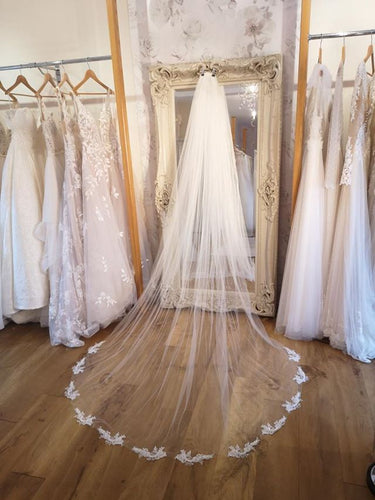 Corded lace appliqué train veil with crystal scatter