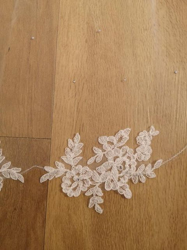 Lace and sparkle veil